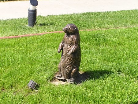 dog prairie sure ll center if